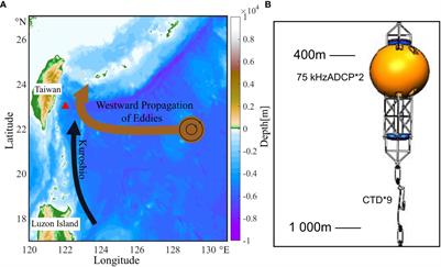 Intraseasonal variability of the deep scattering layer induced by mesoscale eddy